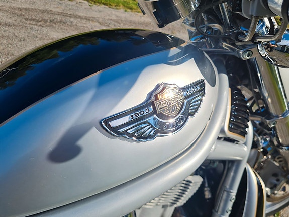 Harley-Davidson V-Rod 100 års anniv Probike special edition 6 of 27