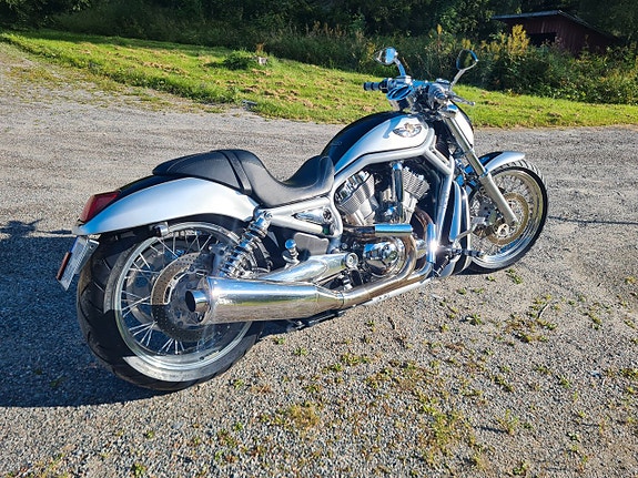 Harley-Davidson V-Rod 100 års anniv Probike special edition 2 of 27
