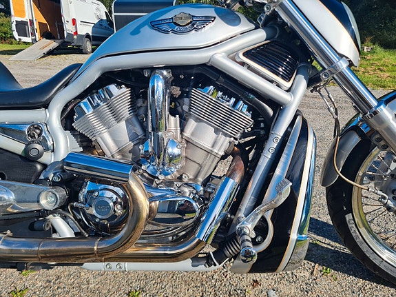 Harley-Davidson V-Rod 100 års anniv Probike special edition 3 of 27