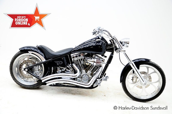 Övriga Big Dog Pitbull *Hemleverans*