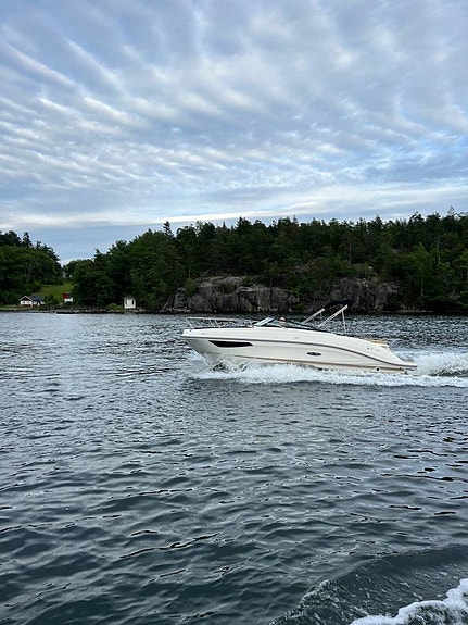 Sea Ray Sun Sport 230 | hämta i vår