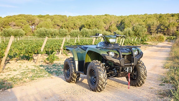 Yamaha Kodiak 450 EPS 9 of 12