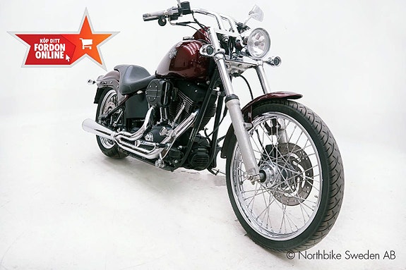 Harley-Davidson Night