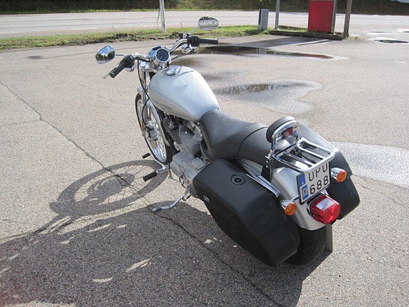 Harley-Davidson XL883C 3 of 3