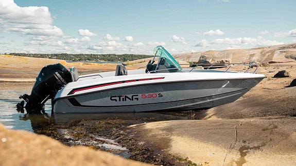 Sting 530 S Mercury F80 ELPT