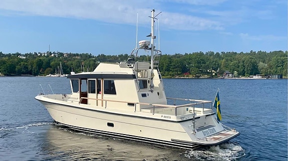 Targa 35+  HiFly 2 x D6 350