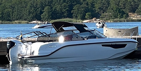 Silver Raptor DCz 2 of 5