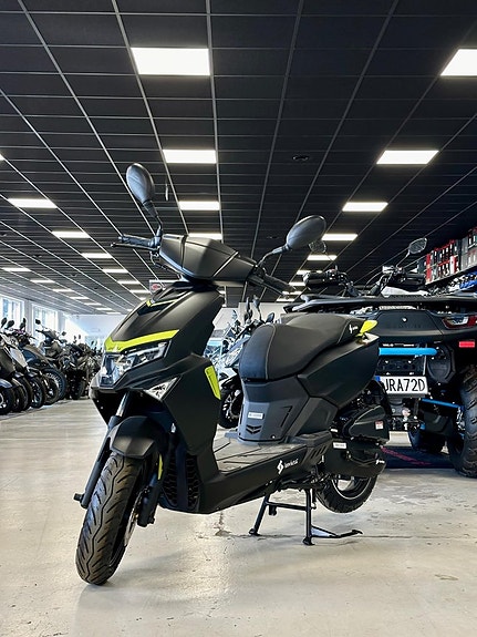 Invicta iratus, Klass 1