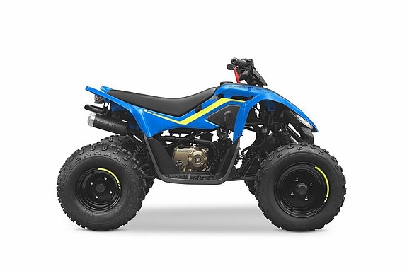 CFMOTO CFORCE 110 EFI 4 of 11