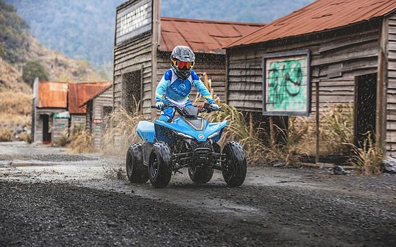 CFMOTO CFORCE 110 EFI 9 of 11