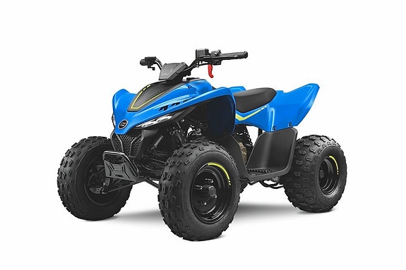 CFMOTO CFORCE 110 EFI 3 of 11