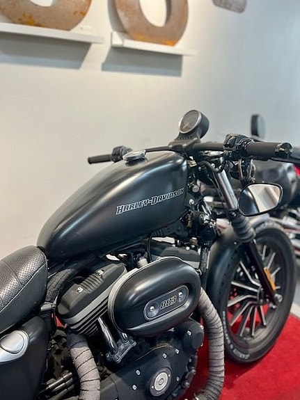 Harley-Davidson XL883N Sportster IRON 4 of 6
