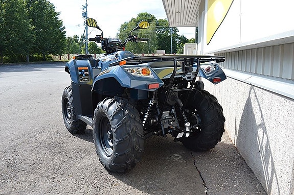 Kawasaki Brute Force 450 T-cat 5 of 9