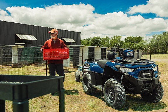 Kawasaki Brute Force 450 T-cat 9 of 9