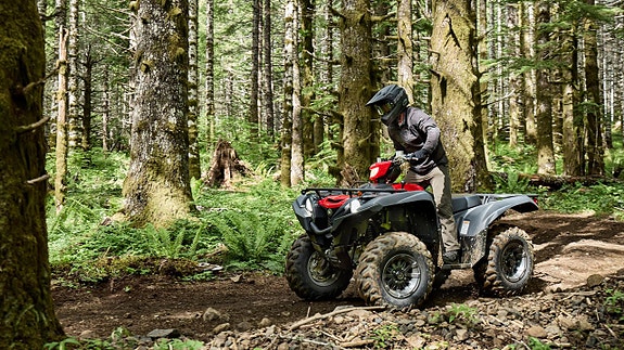 Yamaha Grizzly 700 EPS 3 of 5