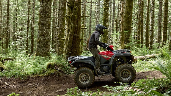 Yamaha Grizzly 700 EPS 4 of 5