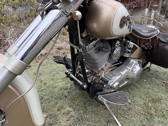 Harley-Davidson Zlotty  custom 8 of 14