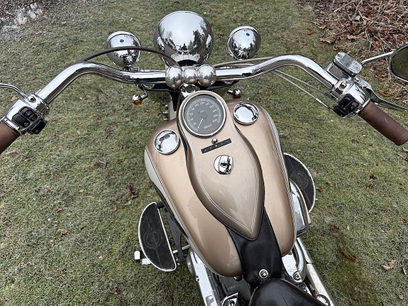 Harley-Davidson Zlotty  custom 12 of 14