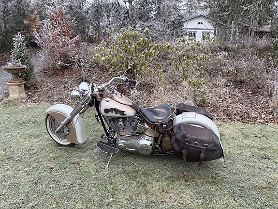 Harley-Davidson Zlotty