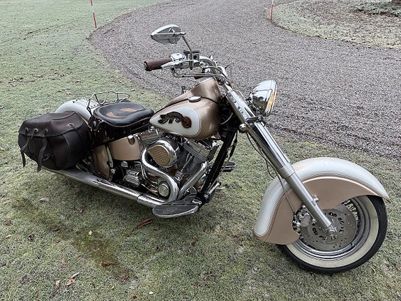 Harley-Davidson Zlotty  custom 3 of 14