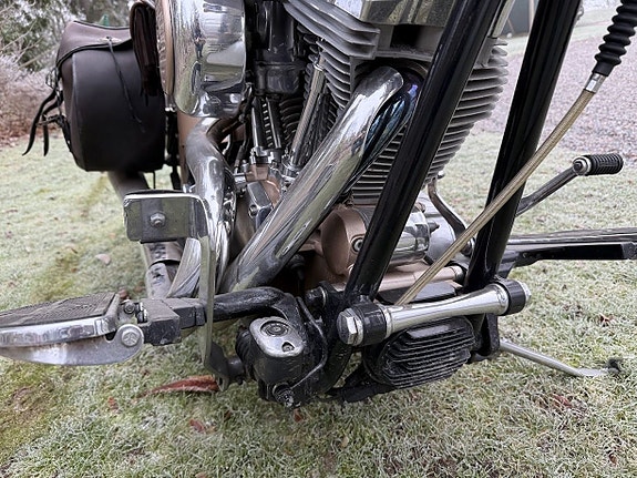 Harley-Davidson Zlotty  custom 10 of 14