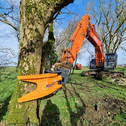 Energiklipp Koala Marknadens tuffaste trädklipp- Todd Timber
