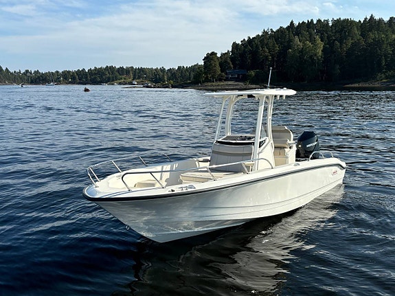 Boston Whaler 250 Dauntless | Demobåt