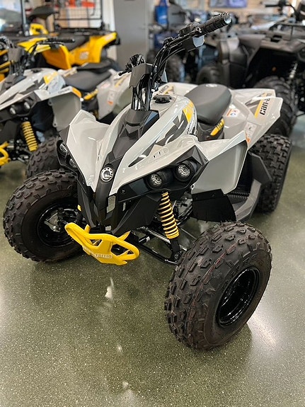 Can-Am Renegade EFI 110