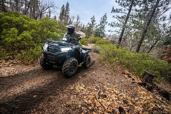 Kawasaki Brute Force  ATV 750 EPC 9 of 10