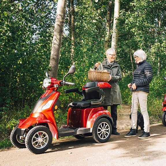 -- Leijona 1400 Promenadscooter 3 of 3