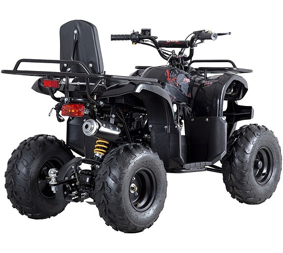 -- X-Pro Worker 110cc | ATV 3 of 13