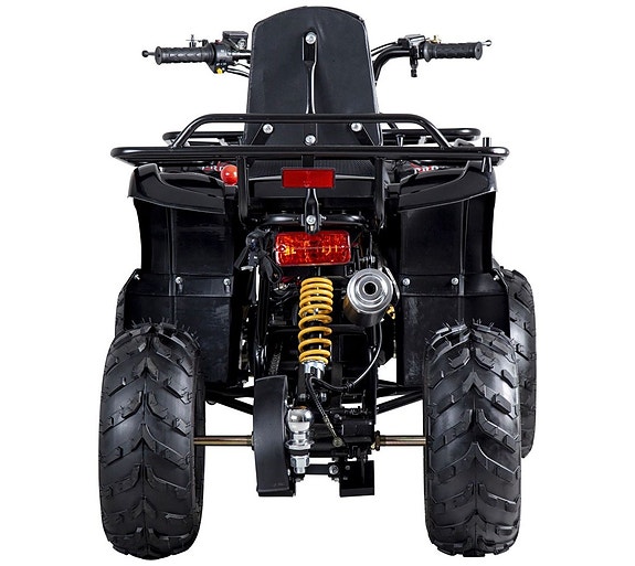 -- X-Pro Worker 110cc | ATV 4 of 13
