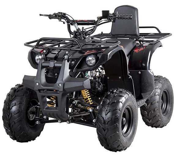 -- X-Pro Worker 110cc | ATV 7 of 13