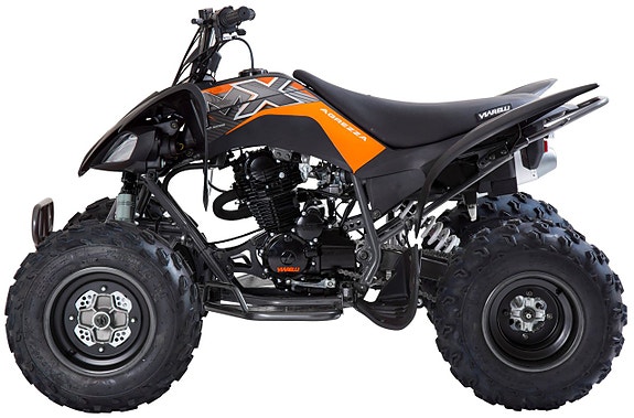Viarelli Agrezza 250cc ATV - Kampanj 6 of 14