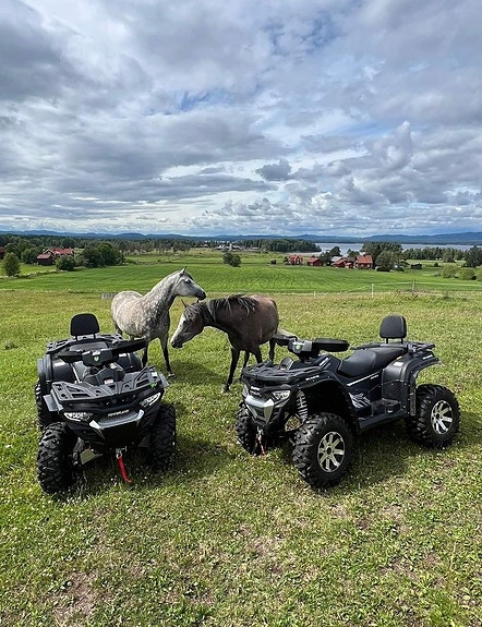 Powerland Tachyon 4x4 Helelektrisk ATV Vuxen 8 of 11