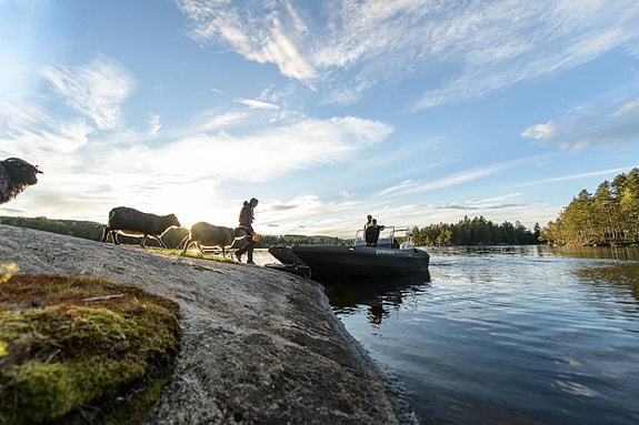 Pioner Multi - Joystickstyrning