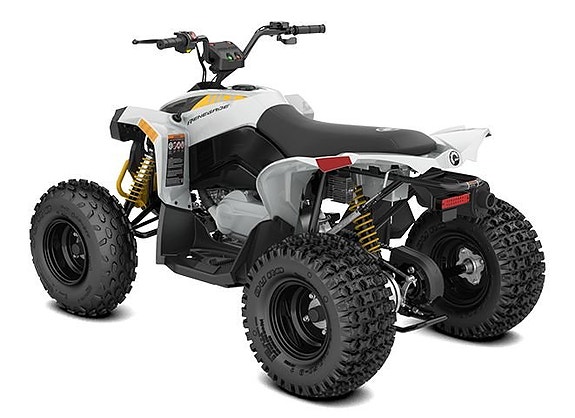 Can-Am Renegade 110 EFI 2 of 2