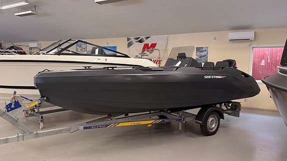 SeaStorm 17 Mercury F60