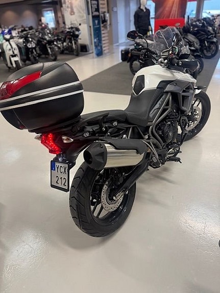 Triumph Tiger XRX low 2 of 3