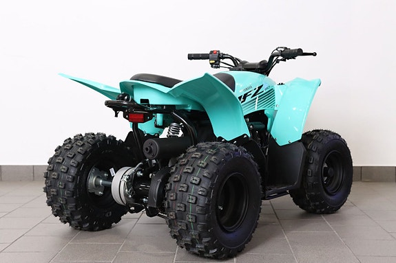 Yamaha YFZ50 - Sommarens leksak! 3 of 9