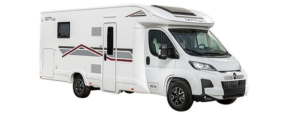 Giottiline Siena 397