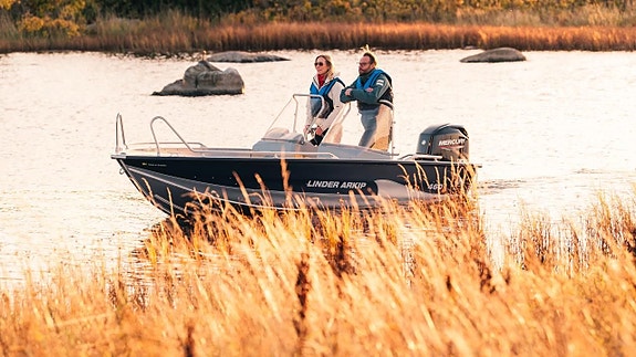 Linder Arkip 460 Mercury F50