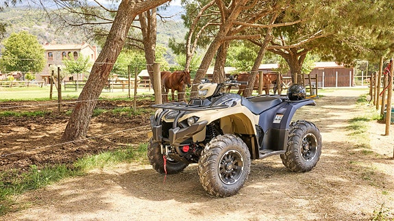 Yamaha Kodiak 450 EPS SE 4 of 5