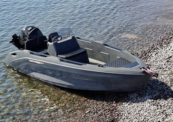SEASTORM 17 Mercury F50 ELPT EFI 3 of 3