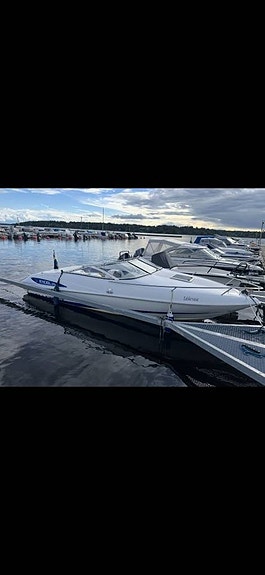 Wellcraft 21SL ink trailer