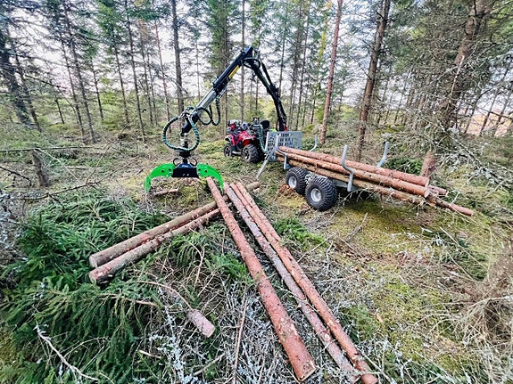 Avestavagnen - Forester Plus *HÖSTKAMPANJ*