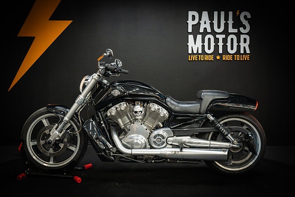 Harley-Davidson V-Rod Muscle  VRSCF 6 of 18