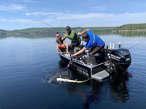 Scandica 420 ALU 3 mm svetasade plåtar stabil båt Pansarvagn