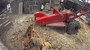 Toro stubbfräs SGR 13 UTHYRES 5 of 6