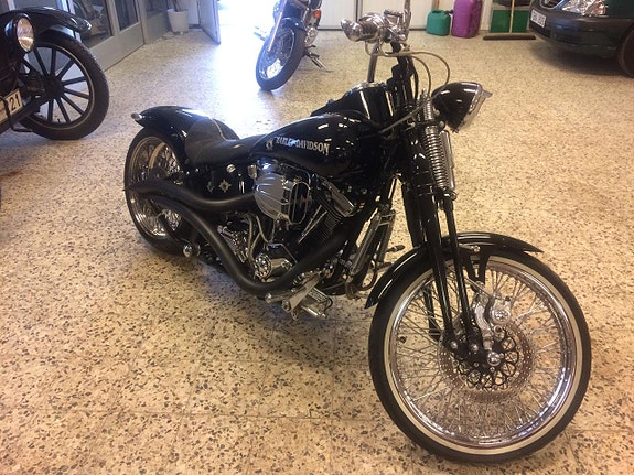 Harley-Davidson custom 11 of 13
